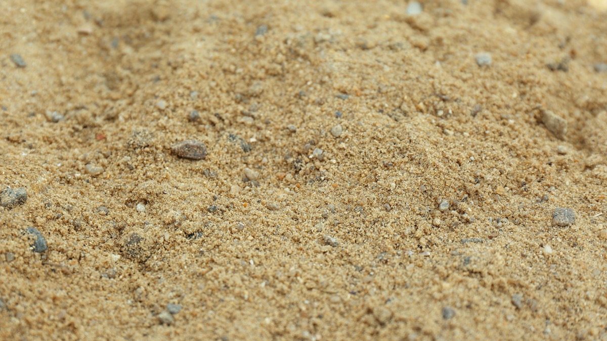 Large Image